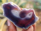 Polished On One Side Red Sashe River Agate Nodules x 24 From Zimbabwe - Toprock Gemstones and Minerals 