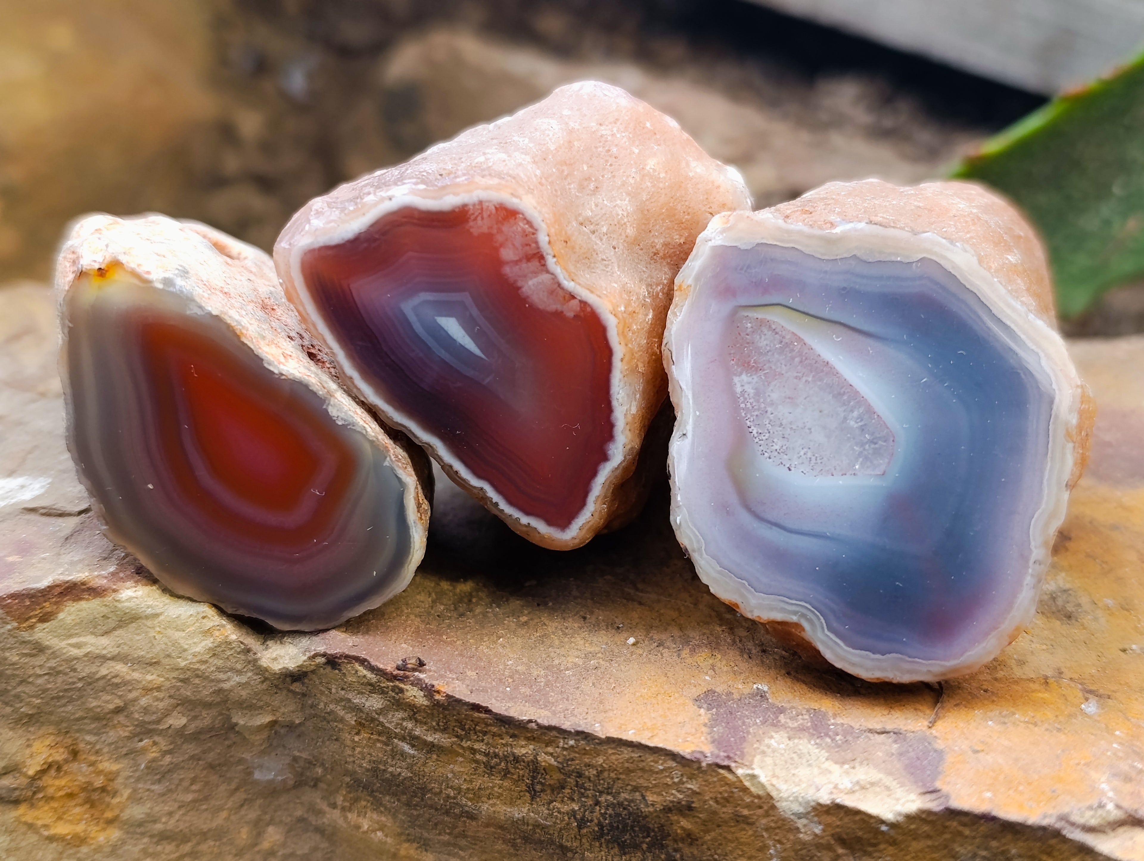 Polished On One Side Red Sashe River Agate Nodules x 24 From Zimbabwe - Toprock Gemstones and Minerals 