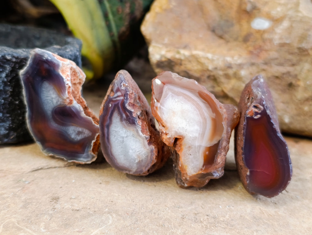 Polished On One Side Red Sashe River Agate Nodules x 24 From Zimbabwe - Toprock Gemstones and Minerals 