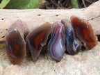 Polished On One Side Red Sashe River Agate Nodules x 24 From Zimbabwe - Toprock Gemstones and Minerals 