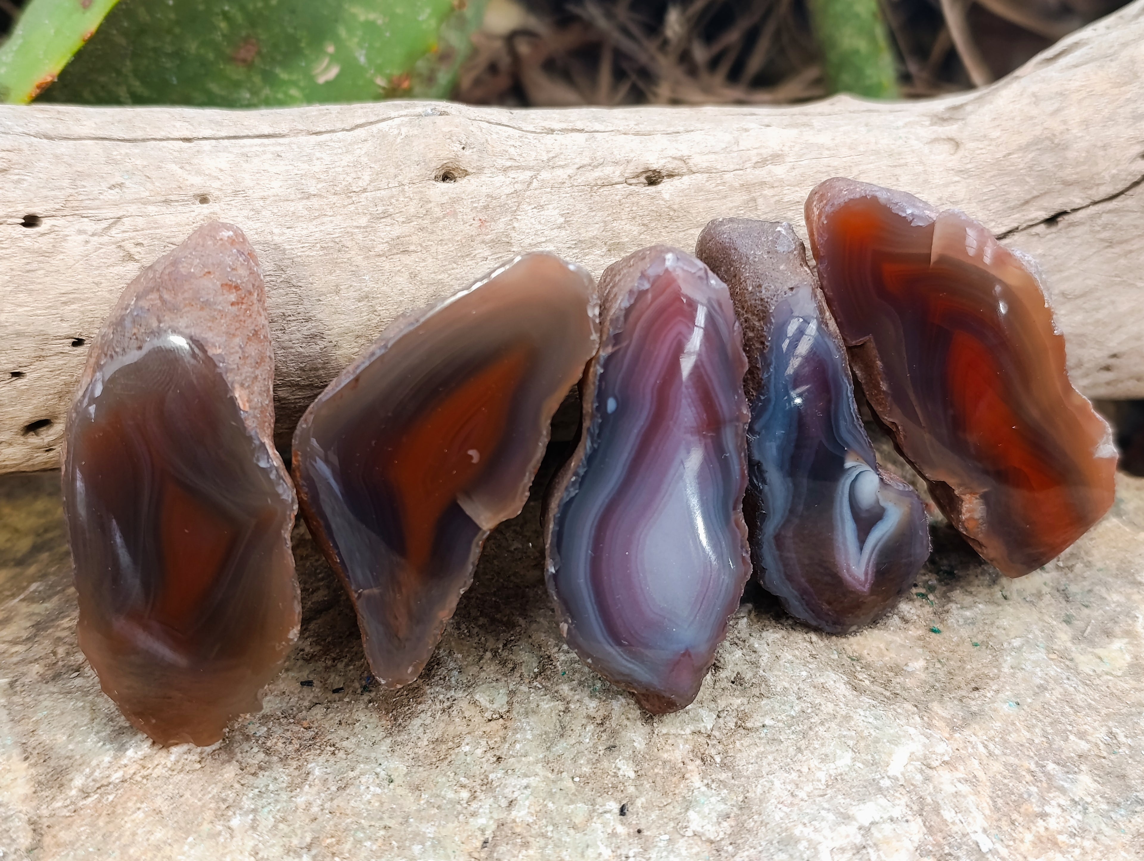 Polished On One Side Red Sashe River Agate Nodules x 24 From Zimbabwe - Toprock Gemstones and Minerals 