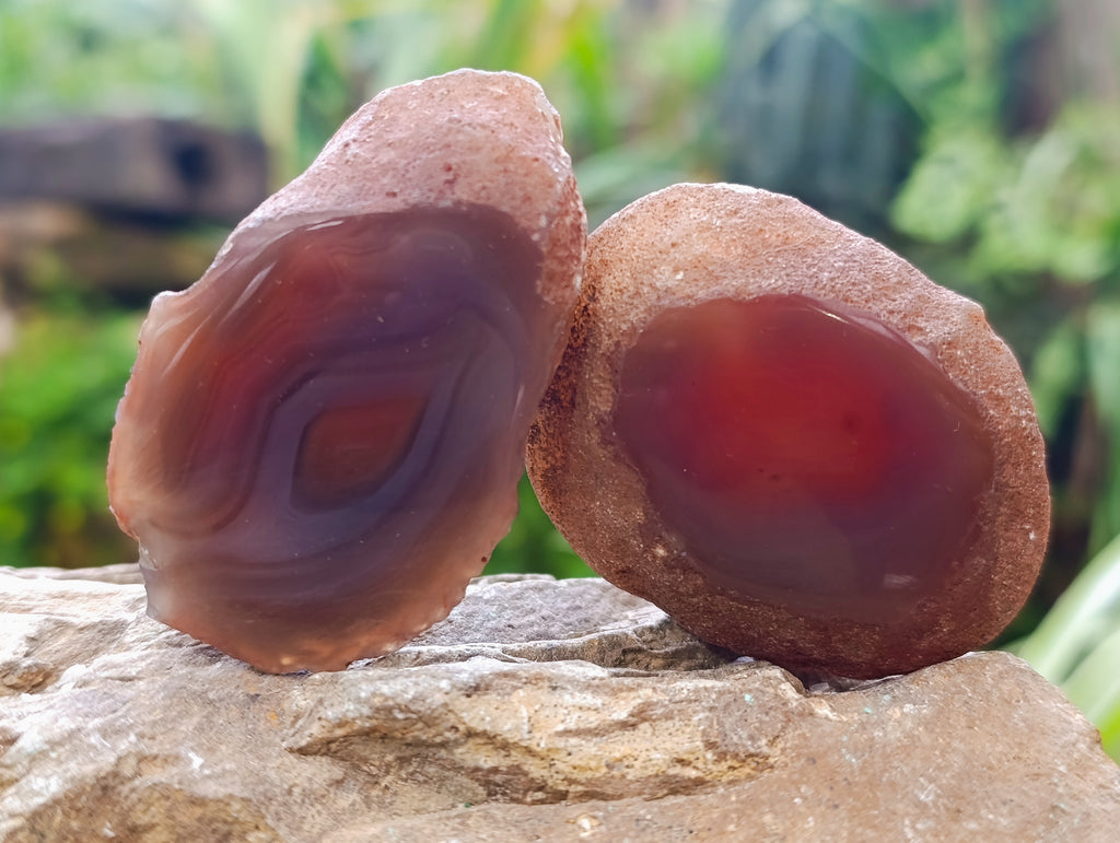 Polished On One Side Red Sashe River Agate Nodules x 24 From Zimbabwe - Toprock Gemstones and Minerals 