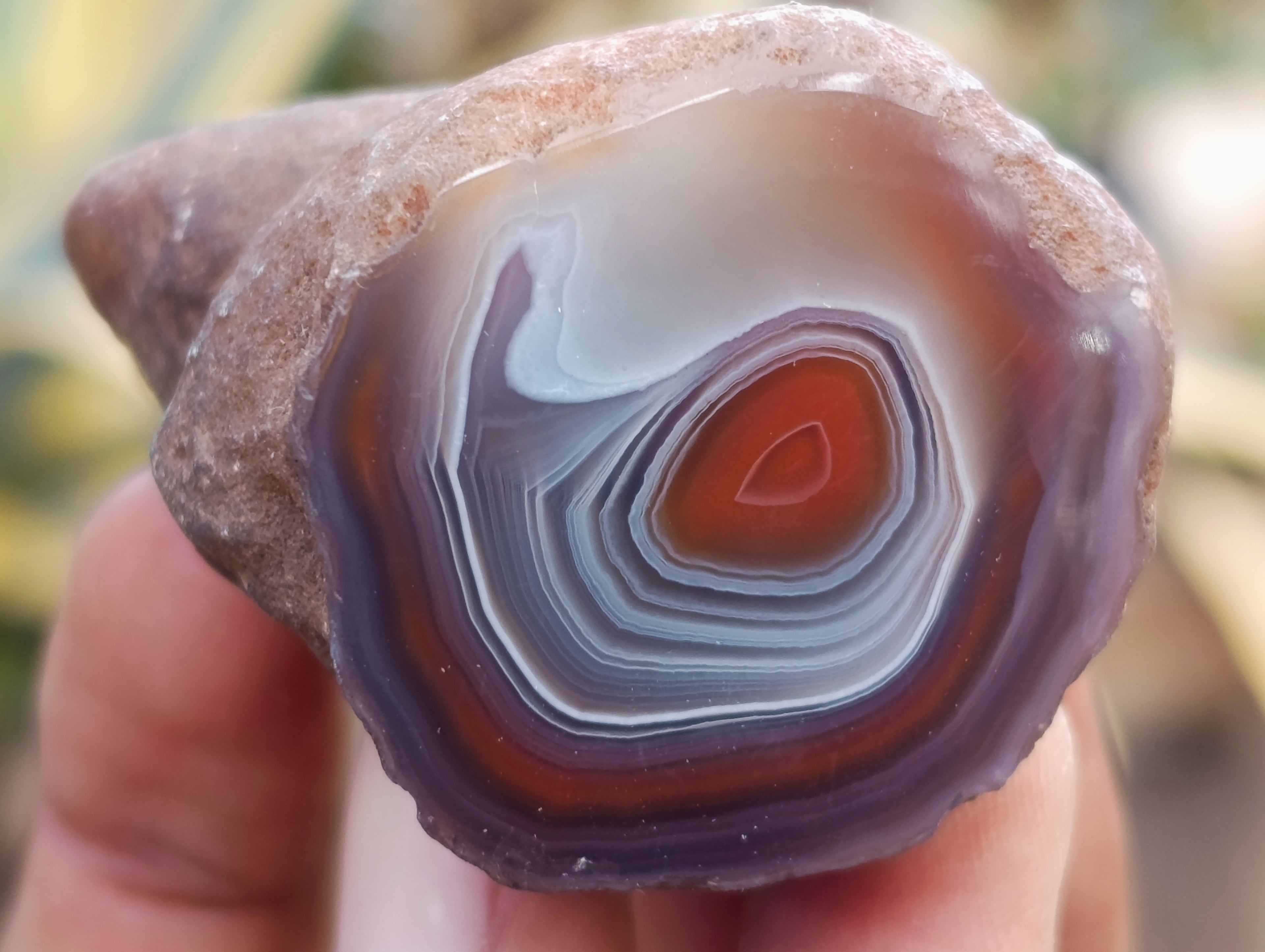 Polished On One Side Red Sashe River Agate Nodules x 24 From Zimbabwe - Toprock Gemstones and Minerals 