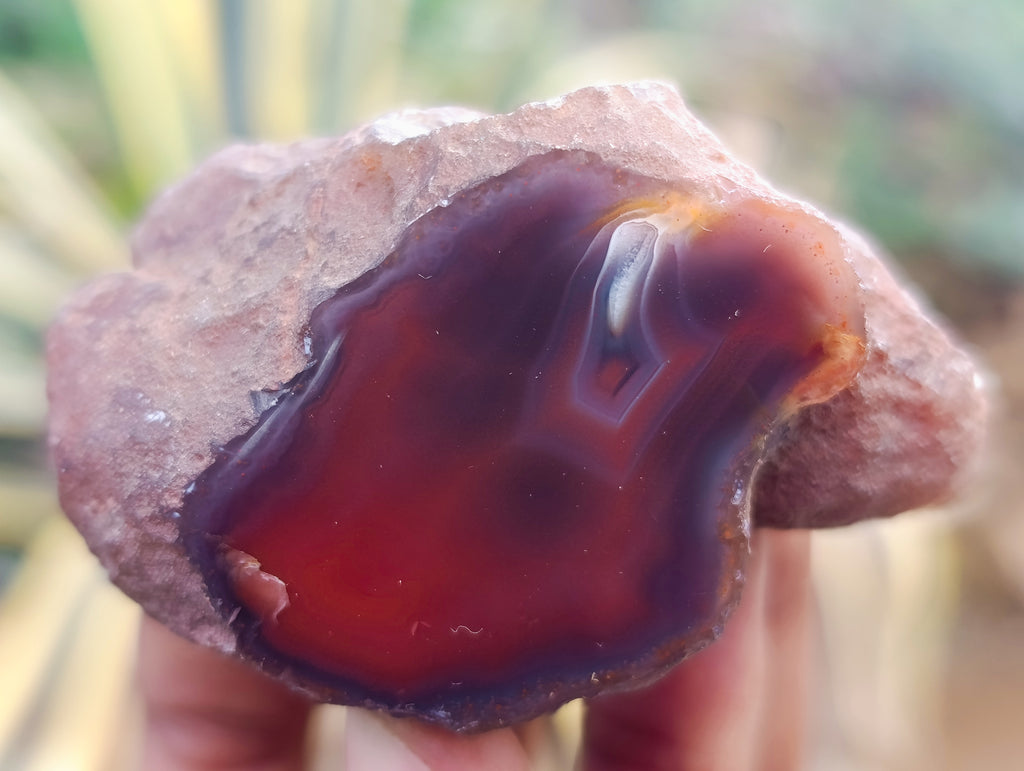 Polished On One Side Red Sashe River Agate Nodules x 24 From Zimbabwe - Toprock Gemstones and Minerals 