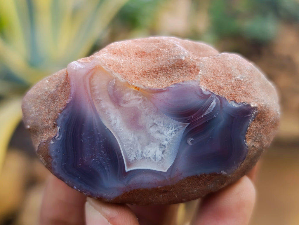 Polished On One Side Red Sashe River Agate Nodules x 24 From Zimbabwe - Toprock Gemstones and Minerals 