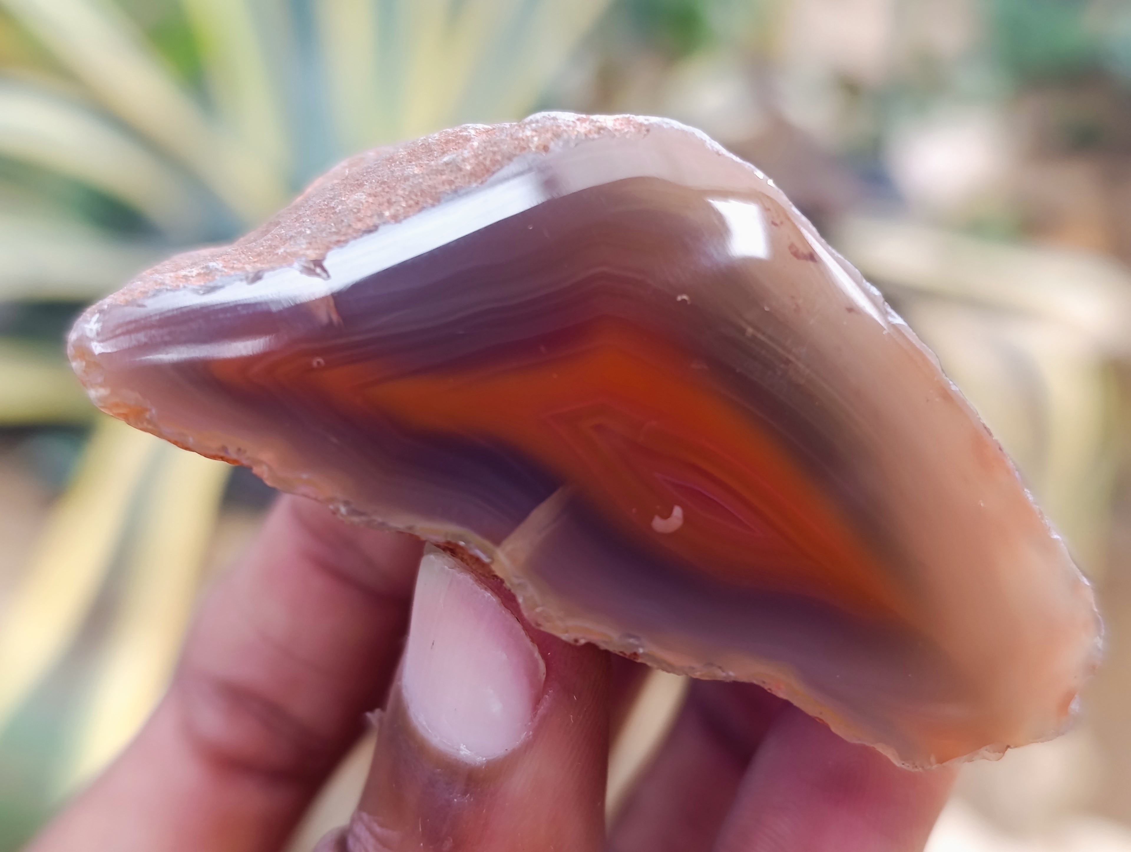Polished On One Side Red Sashe River Agate Nodules x 24 From Zimbabwe - Toprock Gemstones and Minerals 