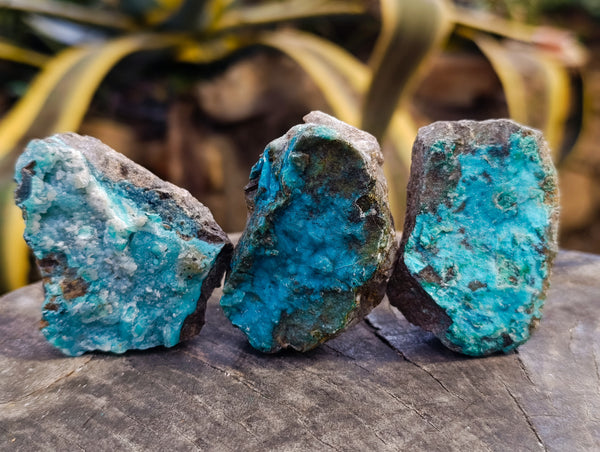 Natural Drusy Coated Chrysocolla Specimens x 20 From Likasi, Congo