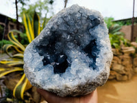 Natural Celestite Geode Specimens x 1 From Sakoany, Madagascar