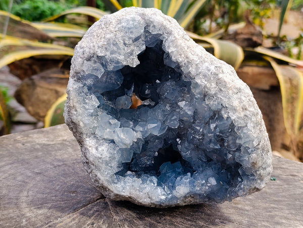 Natural Celestite Geode Specimens x 1 From Sakoany, Madagascar