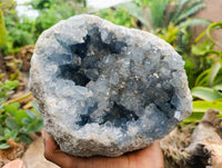 Natural Celestite Geode Specimens x 1 From Sakoany, Madagascar