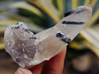 Natural Smokey Quartz Clusters with Hyalite and Tourmaline x 35 From Erongo, Namibia