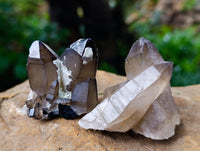 Natural Smokey Quartz Clusters with Hyalite and Tourmaline x 35 From Erongo, Namibia