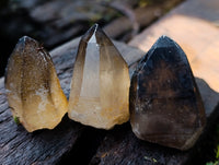 Natural Smokey Quartz Clusters with Hyalite and Tourmaline x 35 From Erongo, Namibia