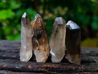 Natural Smokey Quartz Clusters with Hyalite and Tourmaline x 35 From Erongo, Namibia