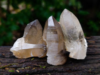 Natural Smokey Quartz Clusters with Hyalite and Tourmaline x 35 From Erongo, Namibia