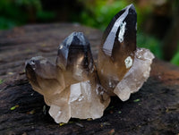 Natural Smokey Quartz Clusters with Hyalite and Tourmaline x 35 From Erongo, Namibia