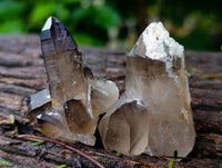 Natural Smokey Quartz Clusters with Hyalite and Tourmaline x 35 From Erongo, Namibia