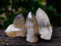 Natural Smokey Quartz Clusters with Hyalite and Tourmaline x 35 From Erongo, Namibia