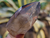 Natural Smokey Quartz Clusters with Hyalite and Tourmaline x 35 From Erongo, Namibia
