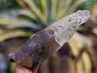 Natural Smokey Quartz Clusters with Hyalite and Tourmaline x 35 From Erongo, Namibia