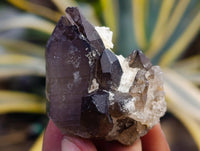 Natural Smokey Quartz Clusters with Hyalite and Tourmaline x 35 From Erongo, Namibia