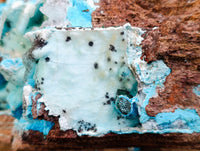 Natural Museum Chrysocolla Specimen with Malachite Stalagmites x 1 From Congo