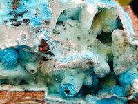 Natural Museum Chrysocolla Specimen with Malachite Stalagmites x 1 From Congo