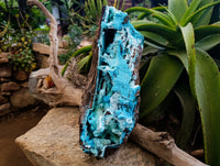 Natural Museum Chrysocolla Specimen with Malachite Stalagmites x 1 From Congo