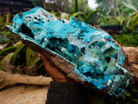 Natural Museum Chrysocolla Specimen with Malachite Stalagmites x 1 From Congo