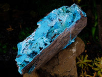 Natural Museum Chrysocolla Specimen with Malachite Stalagmites x 1 From Congo