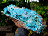 Natural Museum Chrysocolla Specimen with Malachite Stalagmites x 1 From Congo