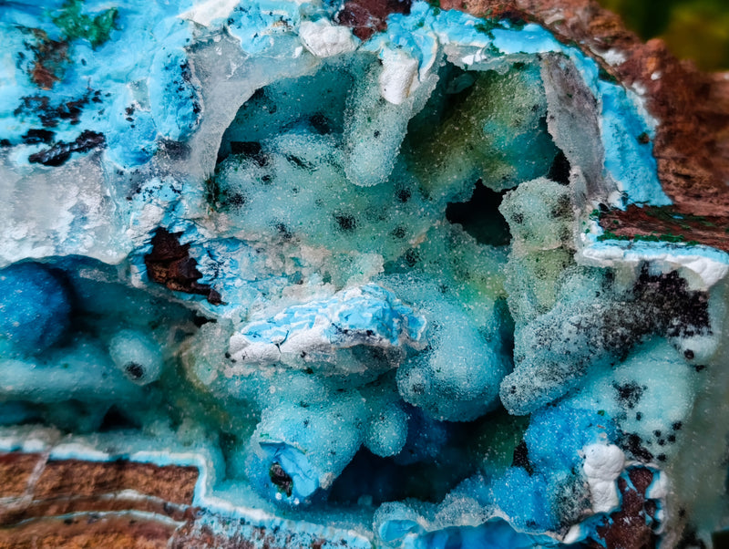 files/163994_4_a6ac5c49-88f2-454f-b023-877bc978c599.jpg