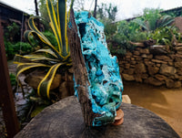 Natural Museum Chrysocolla Specimen with Malachite Stalagmites x 1 From Congo