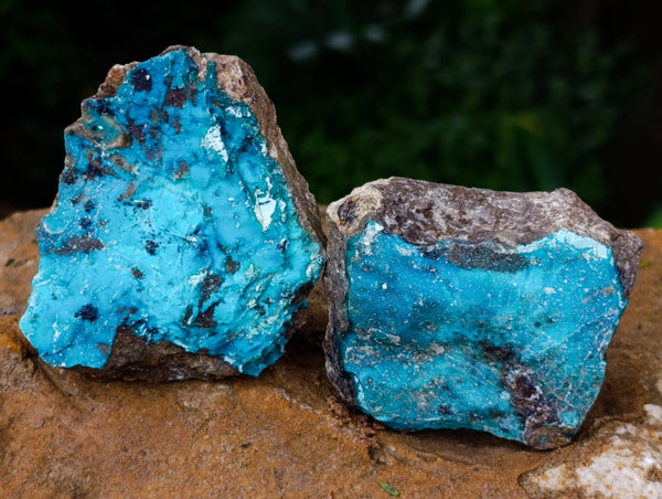 Natural Drusy Coated Chrysocolla Specimens x 12 From Lupoto, Congo