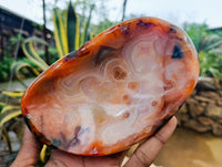 Polished Carnelian Bowls x 3 From Madagascar