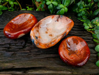 Polished Carnelian Bowls x 3 From Madagascar