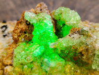Natural Hyalite Opal Specimens with Black Tourmaline x 1 From Erongo, Namibia