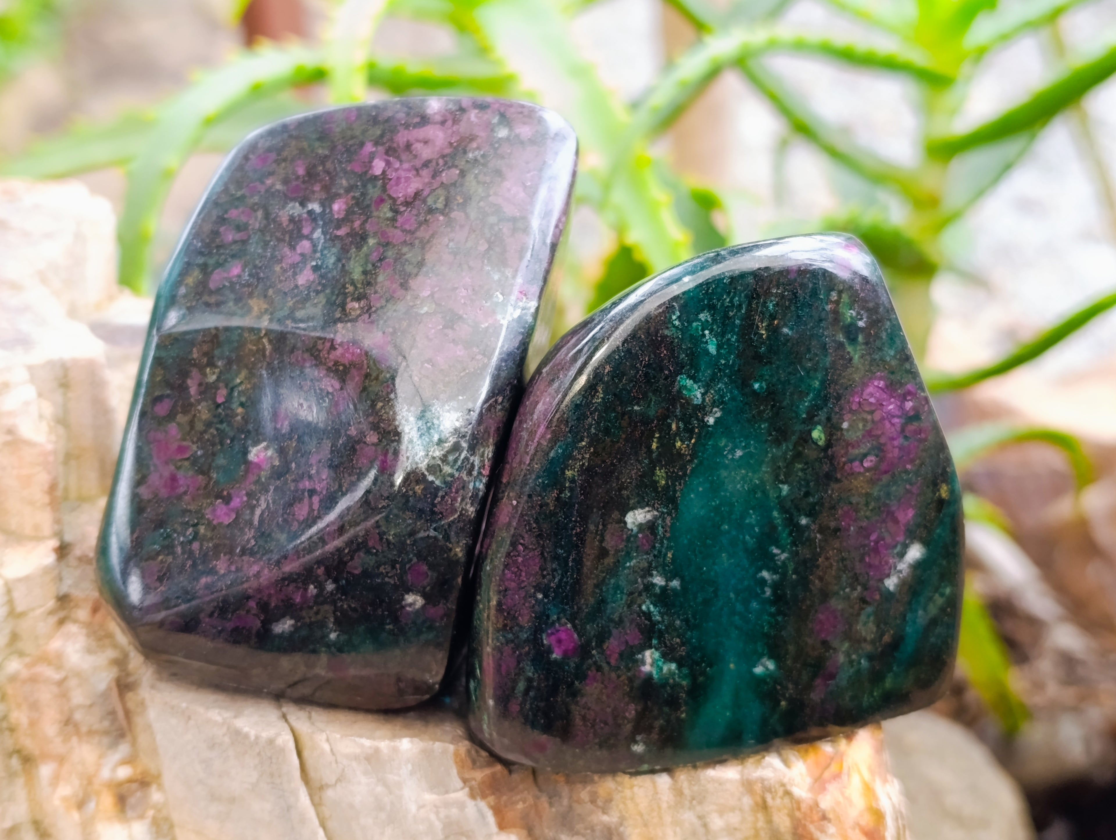 Polished Ruby Corundum In Chrome Verdite Standing Free Forms x 3 From Zimbabwe - Toprock Gemstones and Minerals 