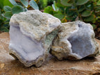Natural Blue Lace Agate Geode Specimens x 3 From Nsanje, Malawi - Toprock Gemstones and Minerals 