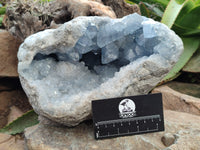 Natural Celestite Geode Specimens x 1 From Sakoany, Madagascar