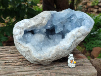 Natural Celestite Geode Specimens x 1 From Sakoany, Madagascar