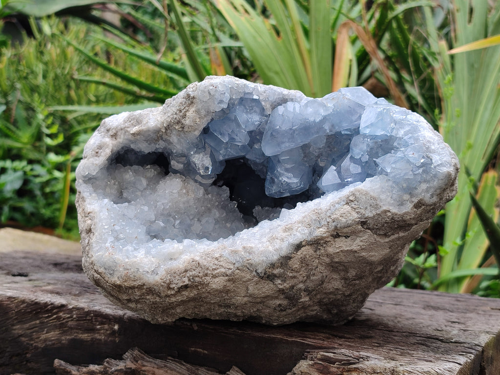 Natural Celestite Geode Specimens x 1 From Sakoany, Madagascar - Toprock Gemstones and Minerals 