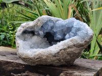 Natural Celestite Geode Specimens x 1 From Sakoany, Madagascar