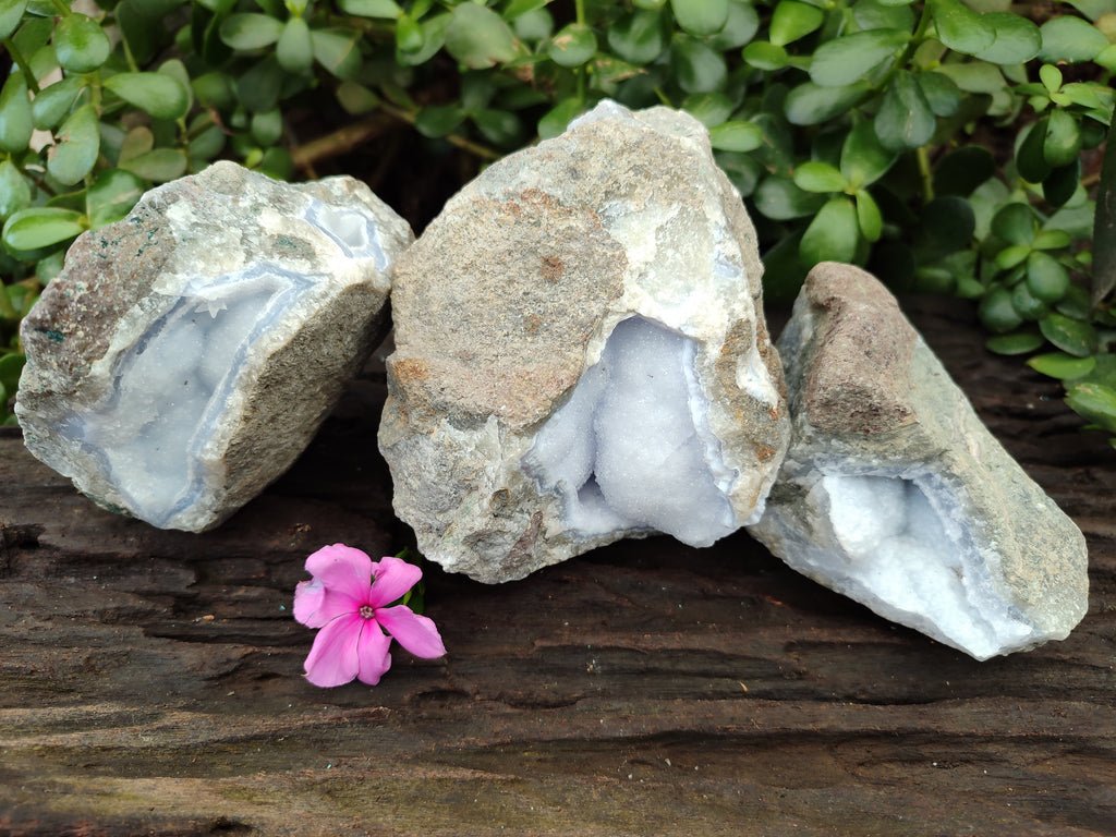 Natural Blue Lace Agate Geode Specimens x 3 From Nsanje, Malawi - Toprock Gemstones and Minerals 