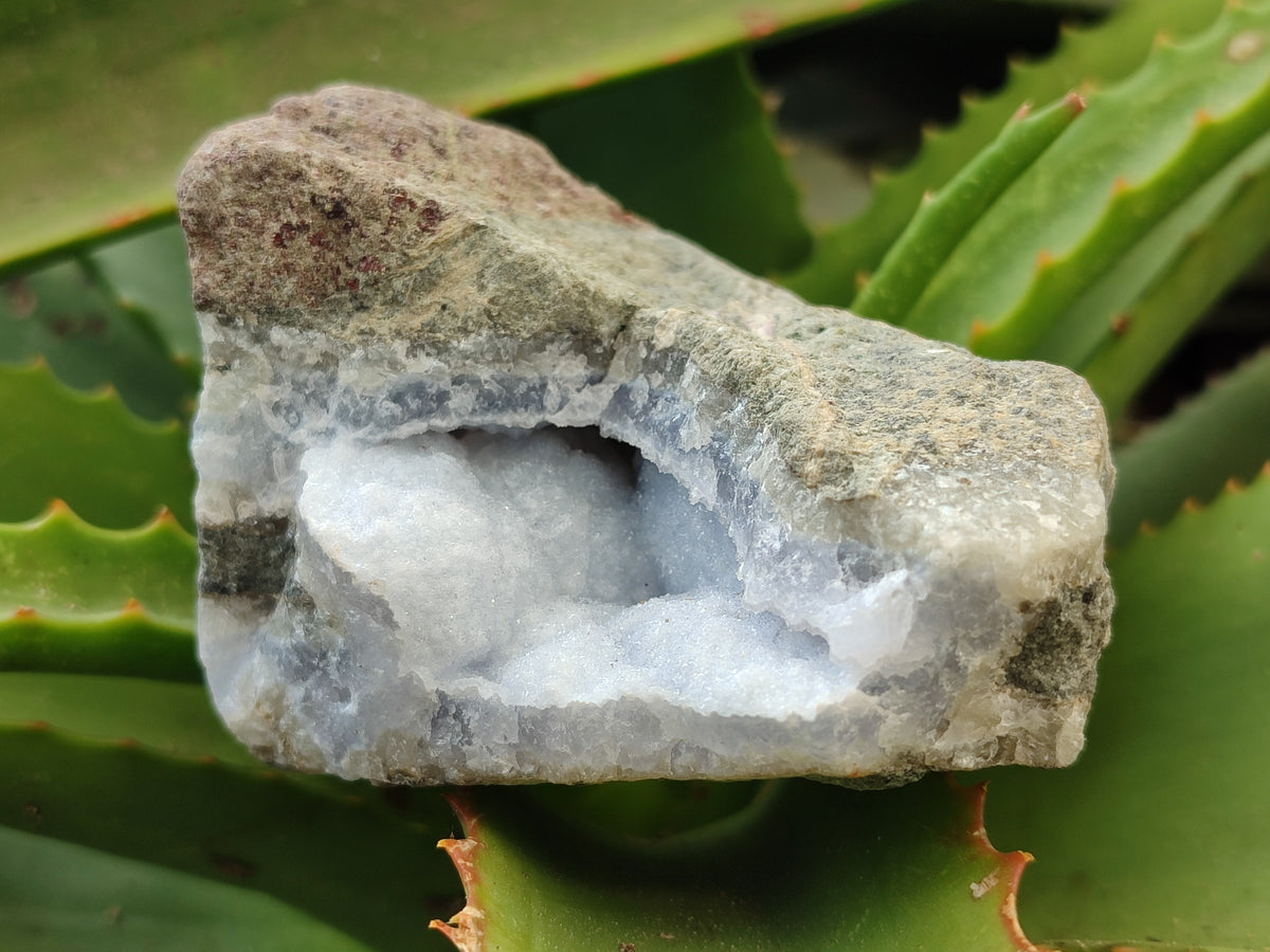 Natural Blue Lace Agate Geode Specimens x 3 From Nsanje, Malawi - Toprock Gemstones and Minerals 