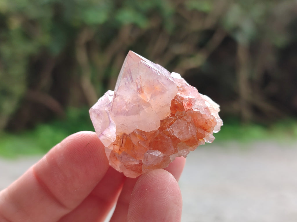 Natural Amethyst Spirit Quartz Crystals x 35 From Boekenhouthoek, South Africa - Toprock Gemstones and Minerals 