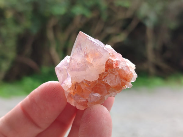 Natural Amethyst Spirit Quartz Crystals x 35 From Boekenhouthoek, South Africa