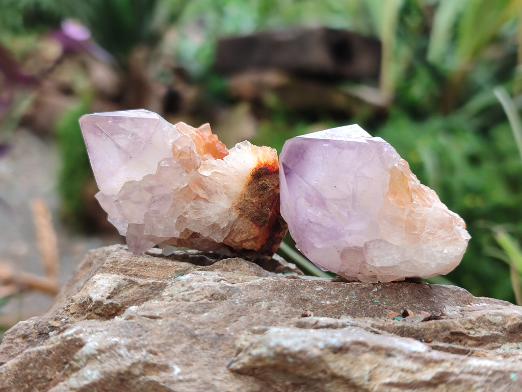 Natural Amethyst Spirit Quartz Crystals x 35 From Boekenhouthoek, South Africa - Toprock Gemstones and Minerals 