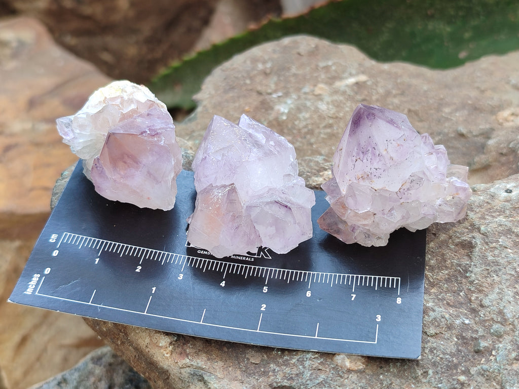 Natural Amethyst Spirit Quartz Crystals x 35 From Boekenhouthoek, South Africa - Toprock Gemstones and Minerals 