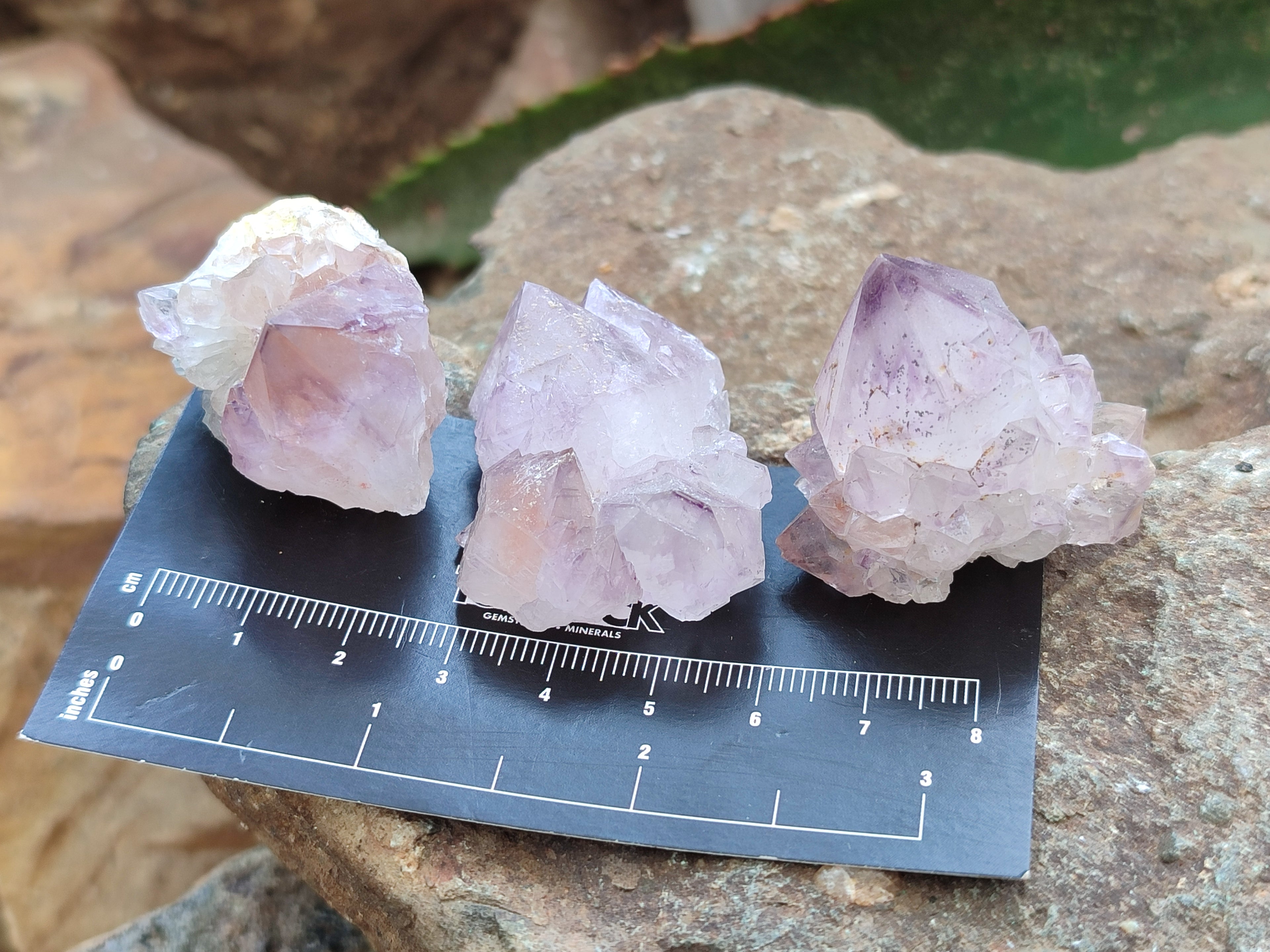 Natural Amethyst Spirit Quartz Crystals x 35 From Boekenhouthoek, South Africa - Toprock Gemstones and Minerals 